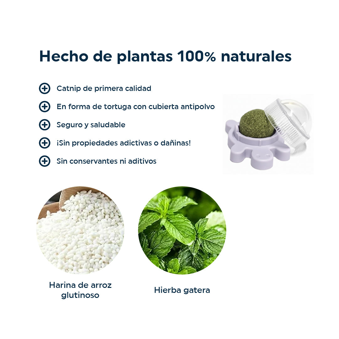 Juguete para Gatos Bola de Catnip en Forma de Tortuga verde