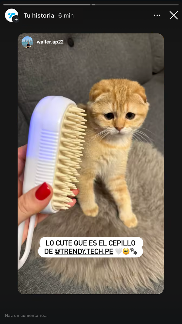 Testimonio 1