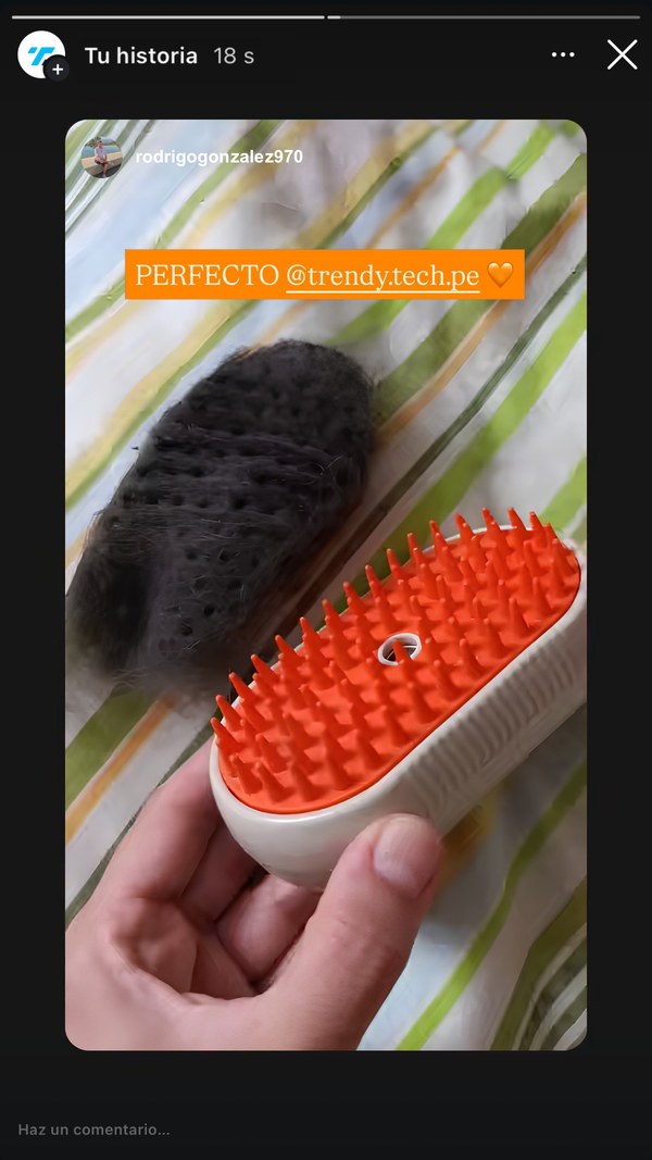 Testimonio 2