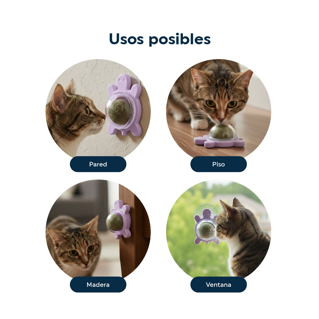 Juguete para Gatos Bola de Catnip en Forma de Tortuga verde